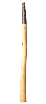 Heartland Didgeridoo (HD401)